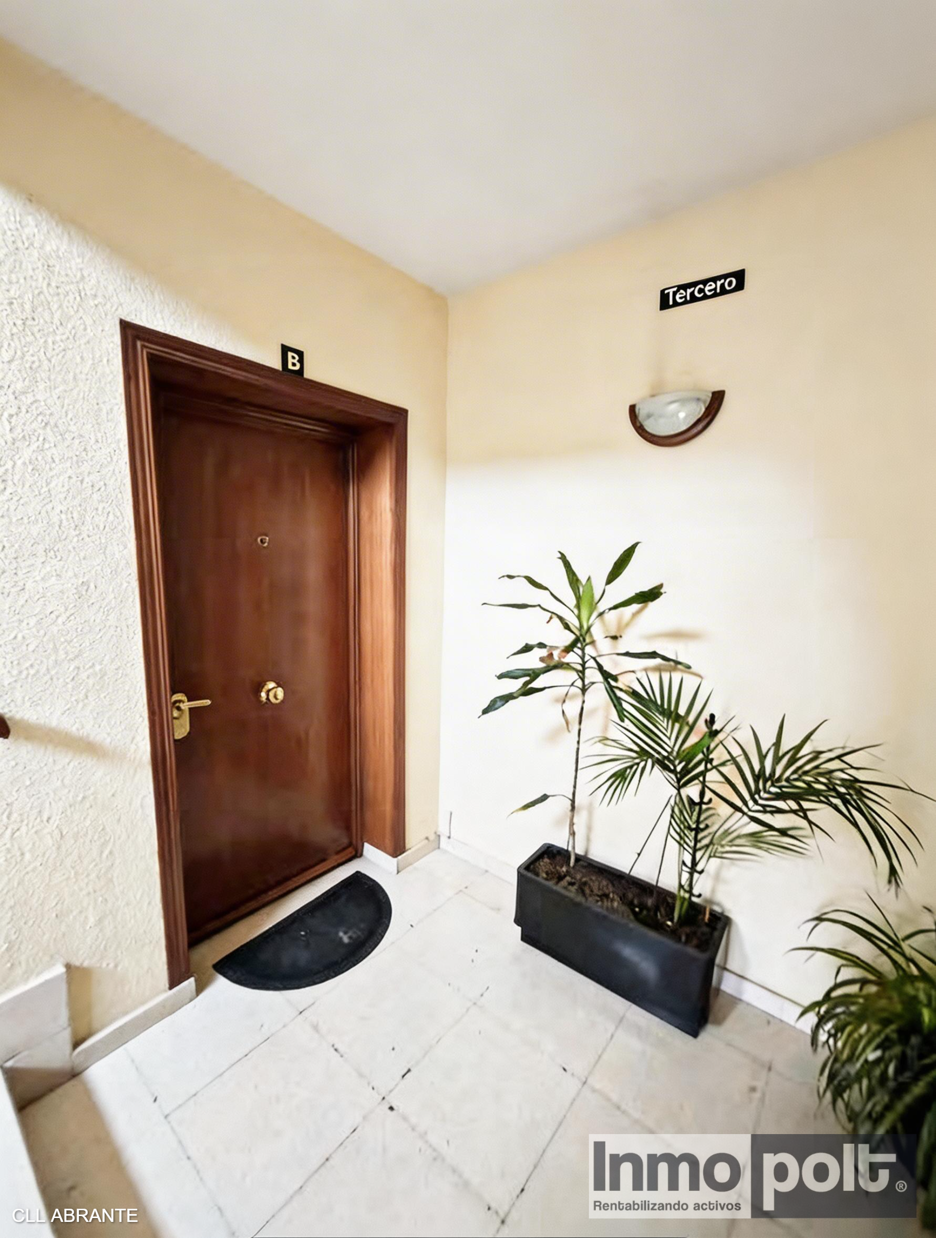 50090_CLL ABRANTE (4).jpg